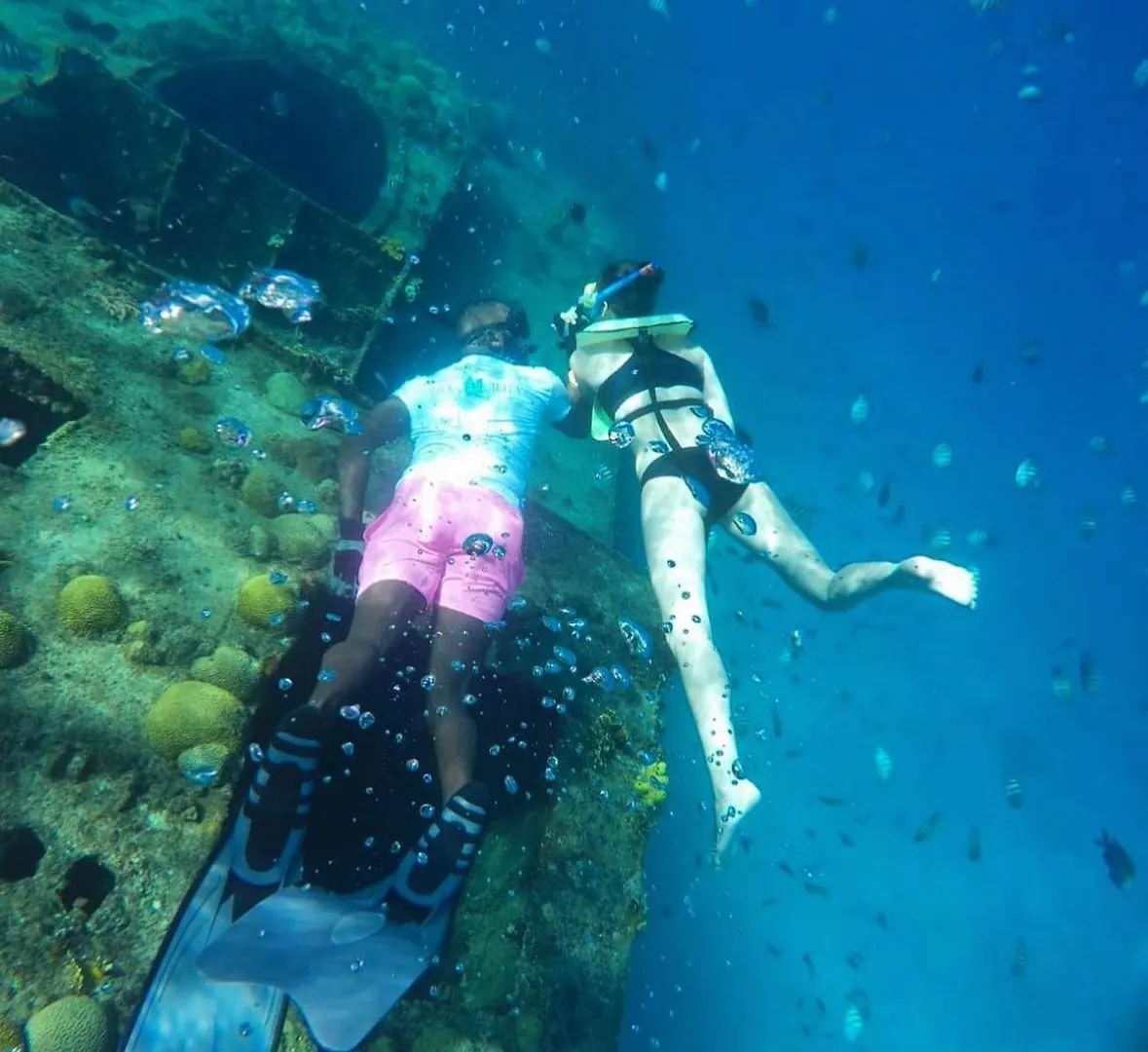 Eden On The Sea Otel Bridgetown Barbados