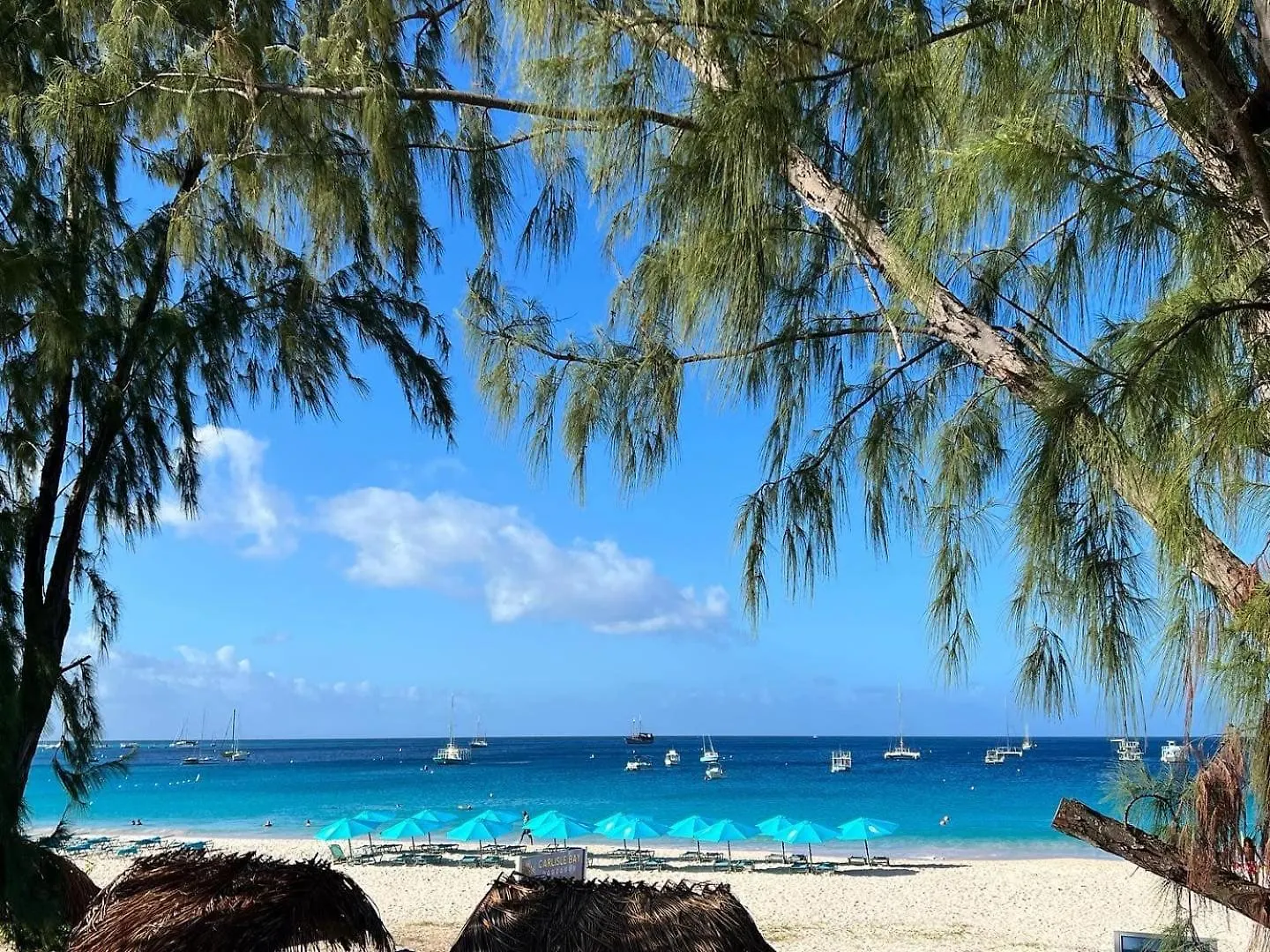 Inn Eden On The Sea Hotel Bridgetown
