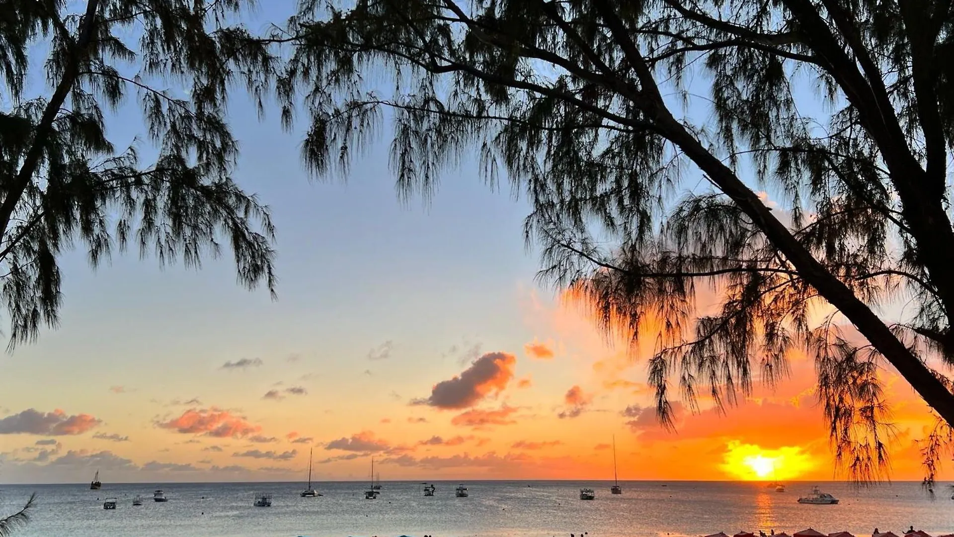 Inn Eden On The Sea Hotel Bridgetown Barbados
